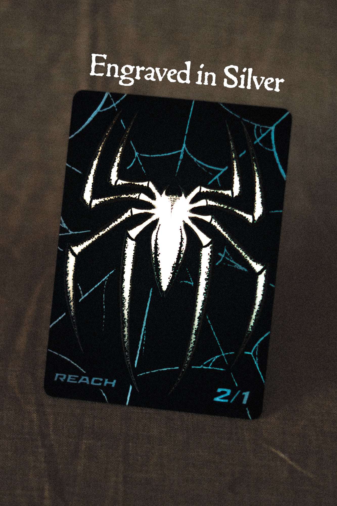 Stainless Steel Spider Token